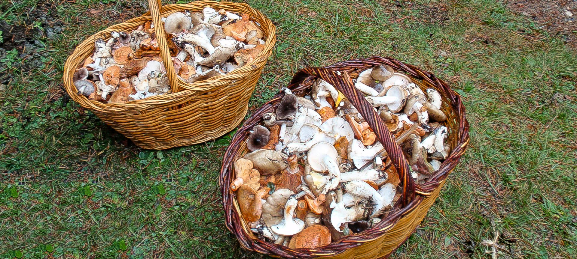 2010-10-10-Gombrèn