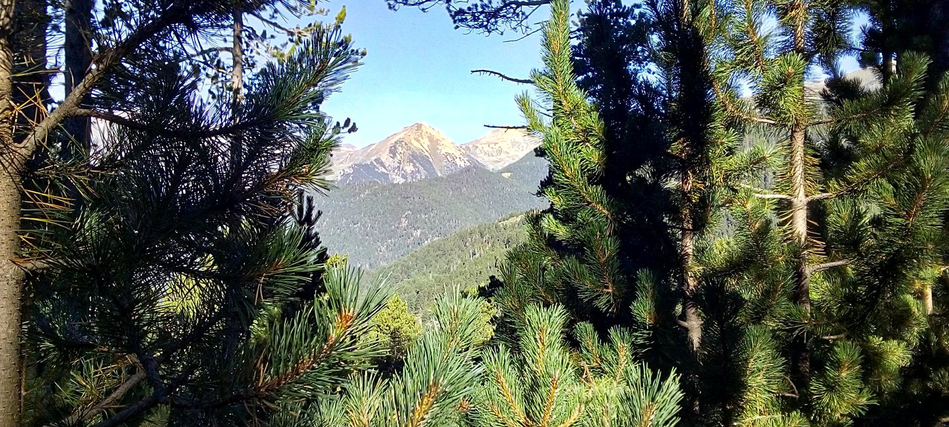 2017-08-13-fgb-Setcases-Sant-Miquel