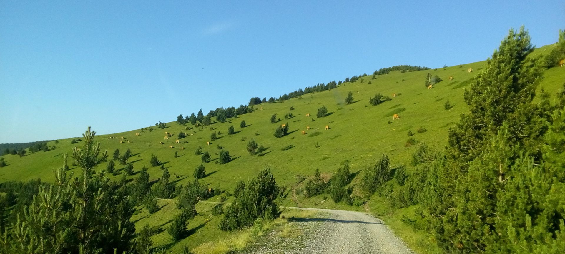 2018-07-15-fgb-Espinavell