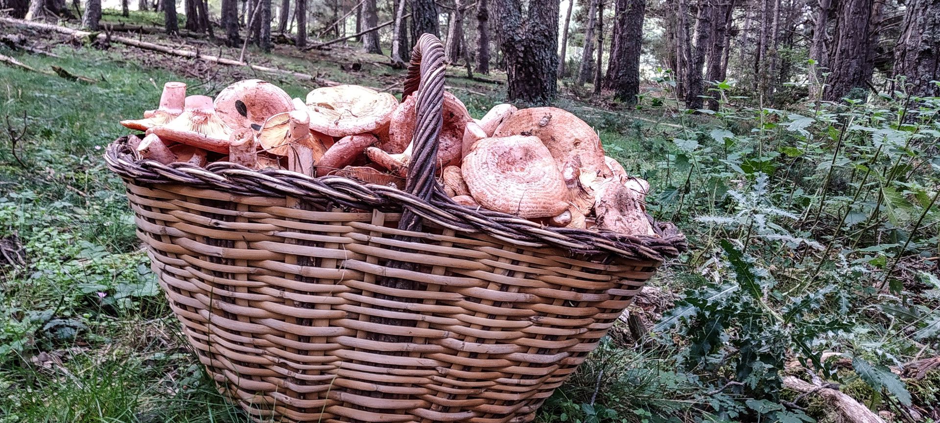2018-09-09--fgb-josep-la-molina