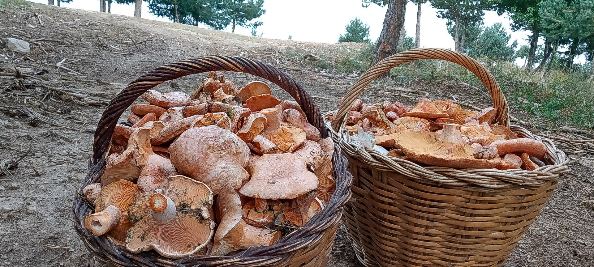 2018-09-16--josep-fgb-la-molina