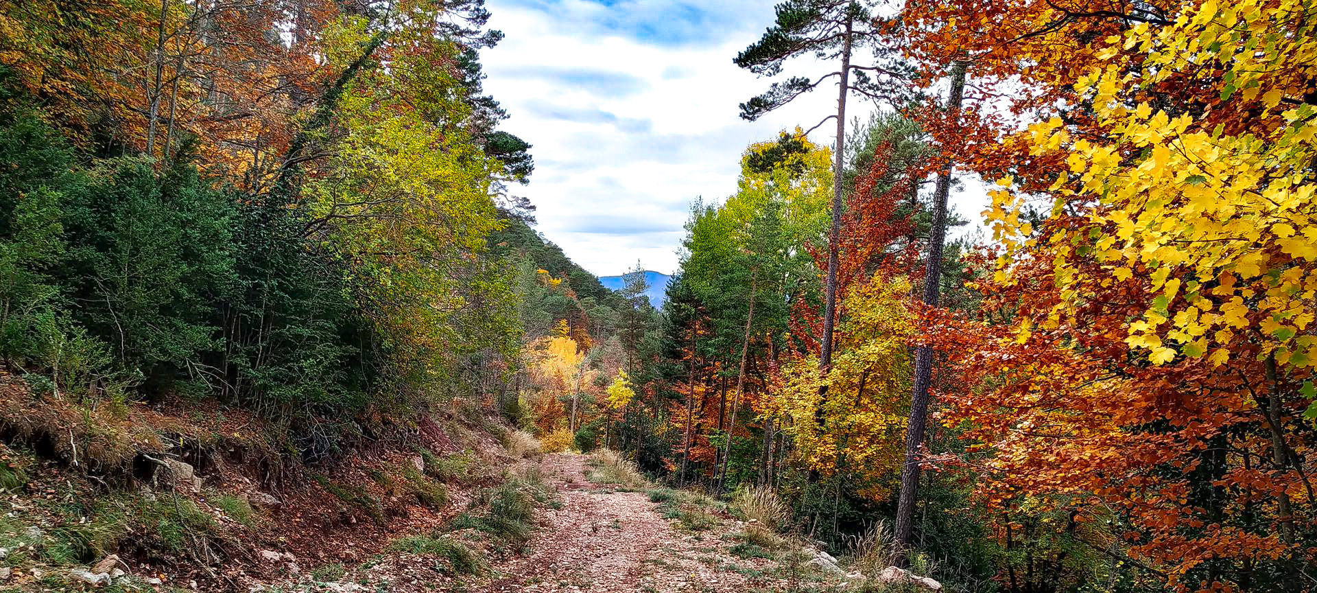 2019-11-01-gombren-gombren-la-mina