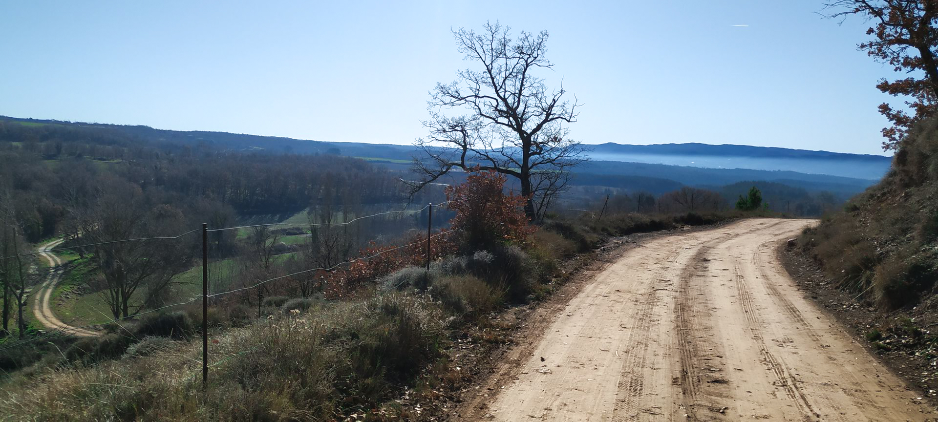 2020-01-05-collsuspina