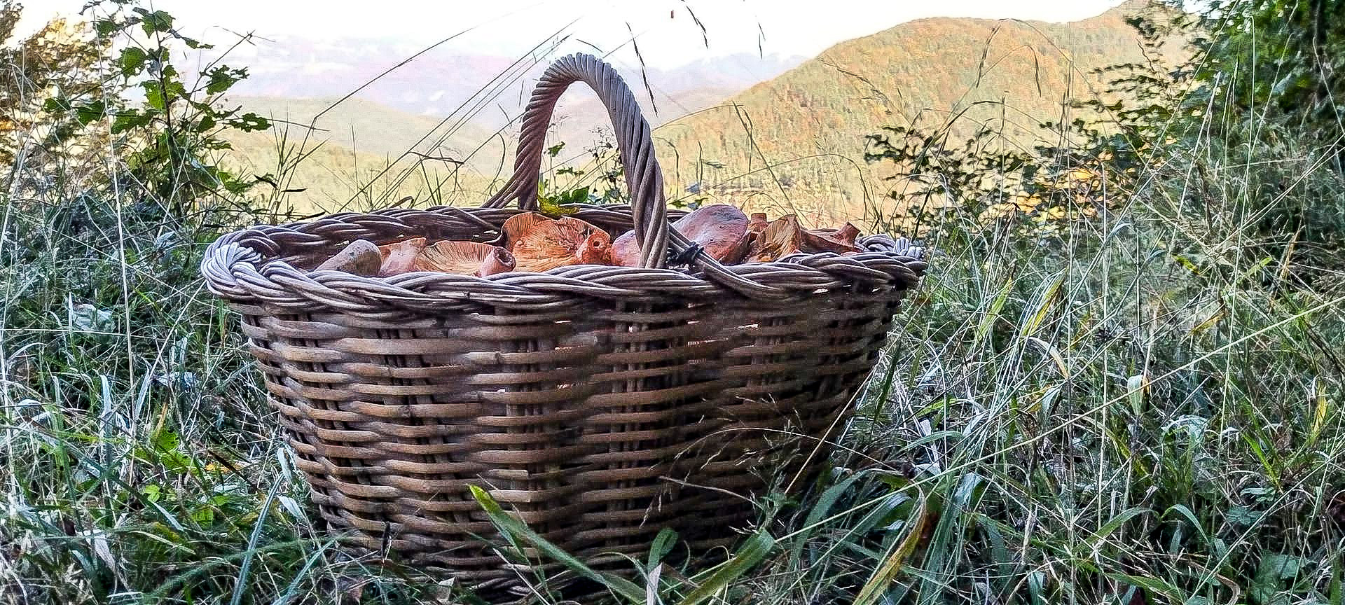 2020-10-12-Collada-Santigosa