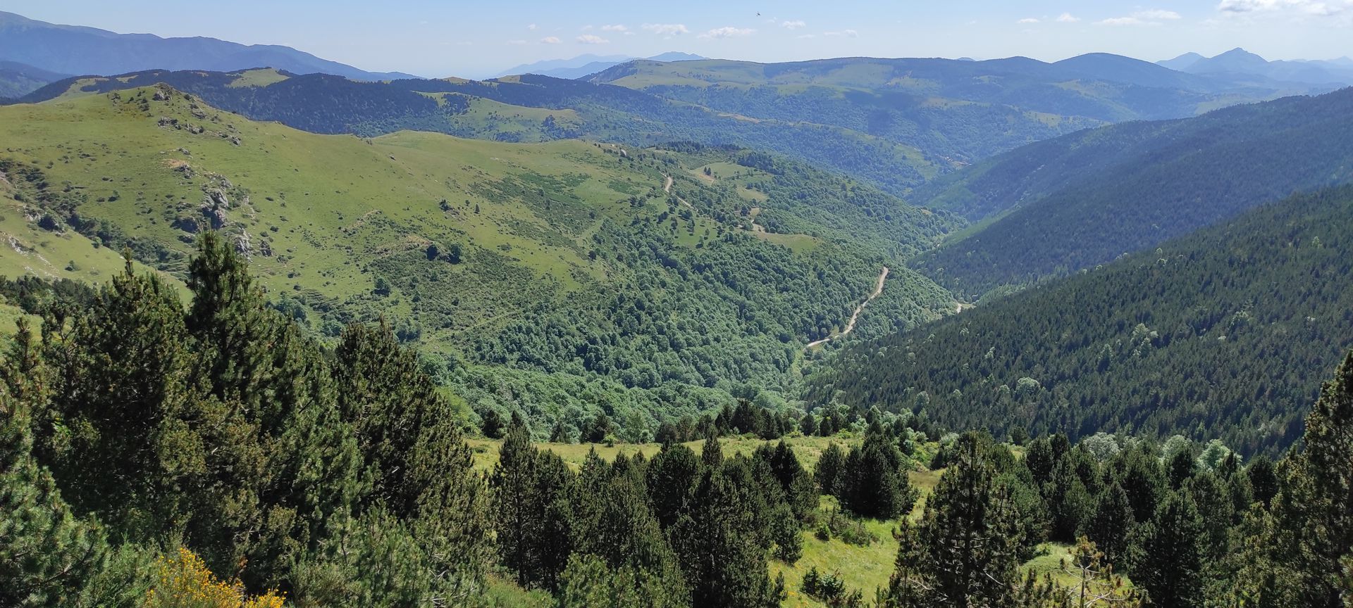 2021-07-18-Puig-Sistra