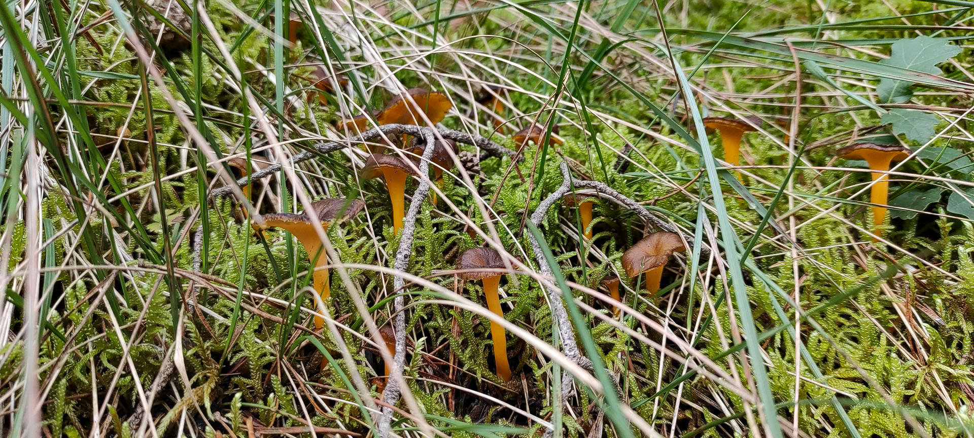 2021-10-10-Collada-Santigosa