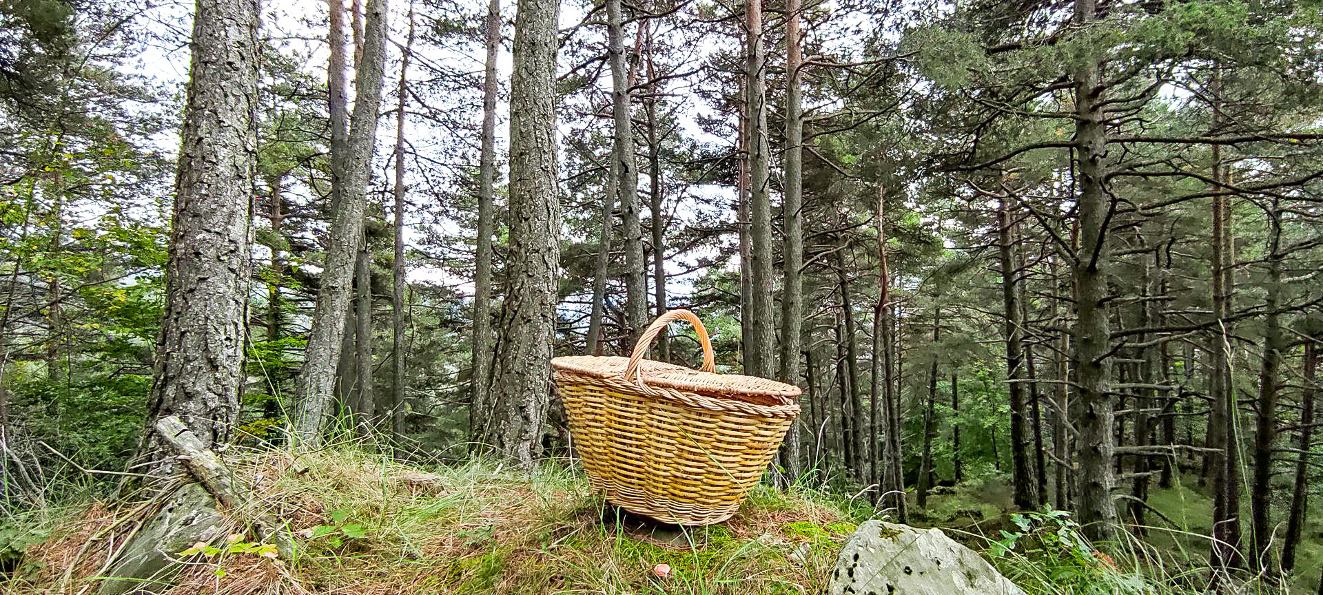 2021-10-10-Collada-Santigosa