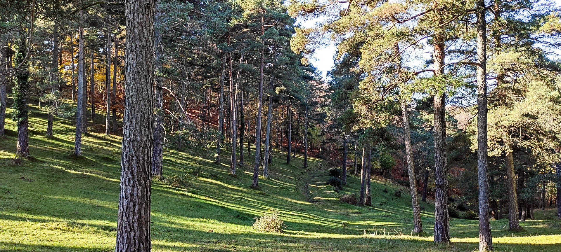 2021-11-14-fgb-les-llosses-matamala