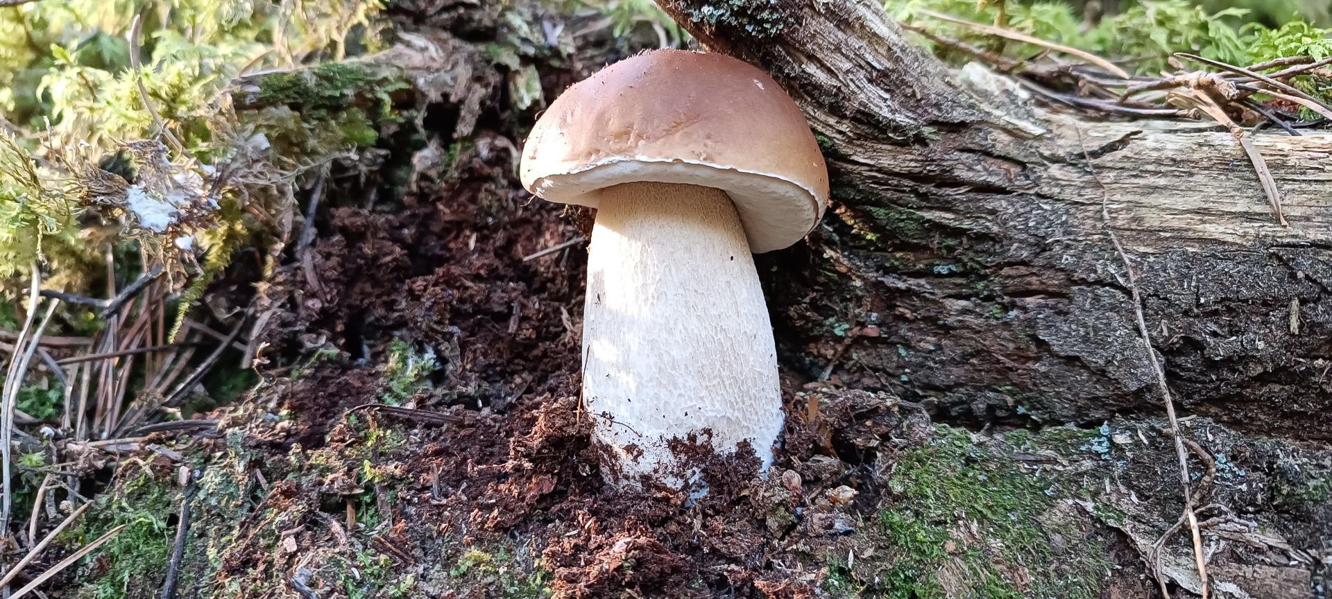 2023-10-01-fgb-setcases-p_molina-2-1885