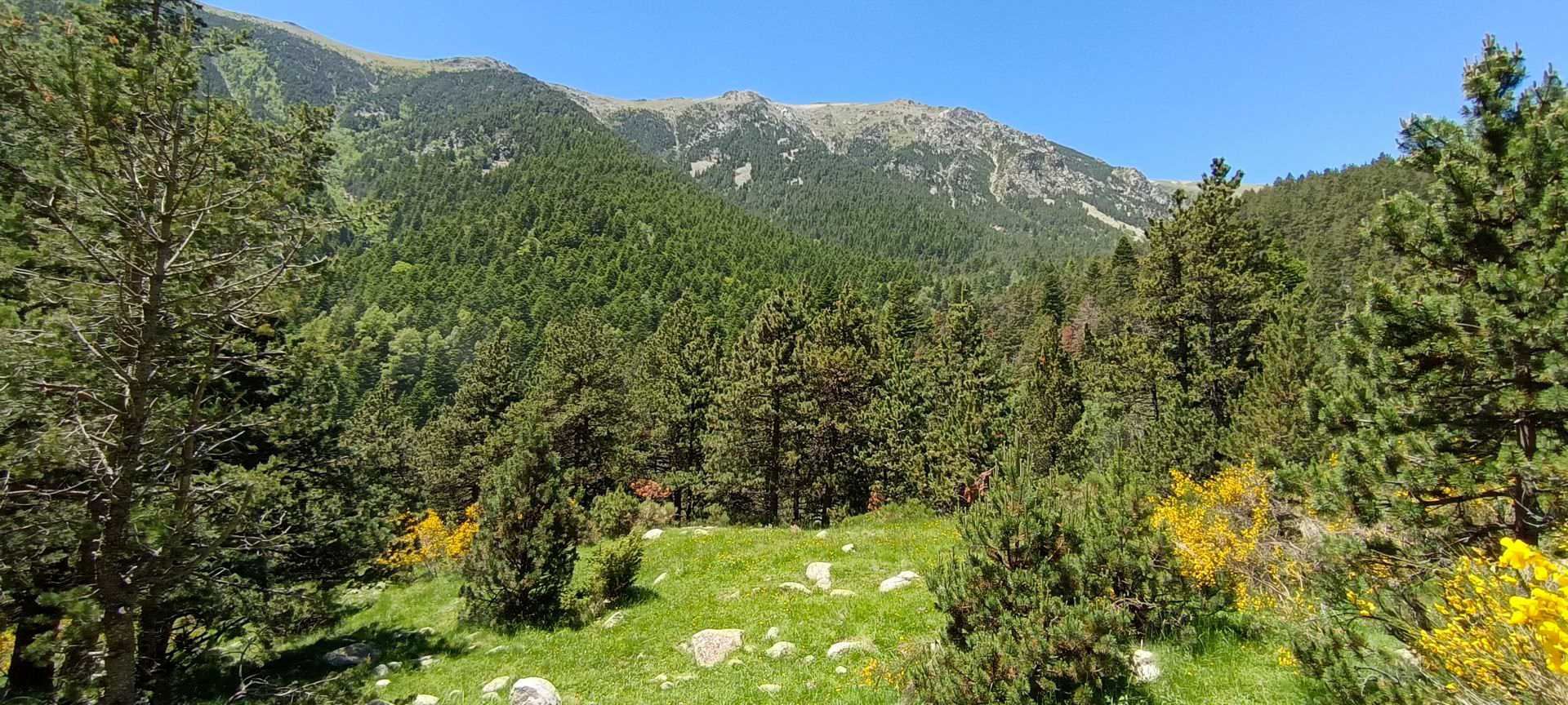 2024-06-23-fgb-setcases-pla-de-la-molina-1900