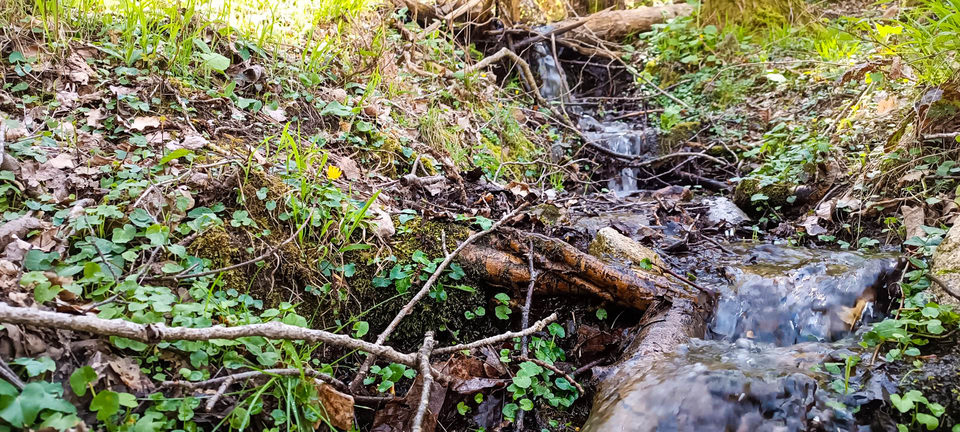 2025-04-18-fgb-coll-de-bordoriol-sot-de-canalis-murgoles