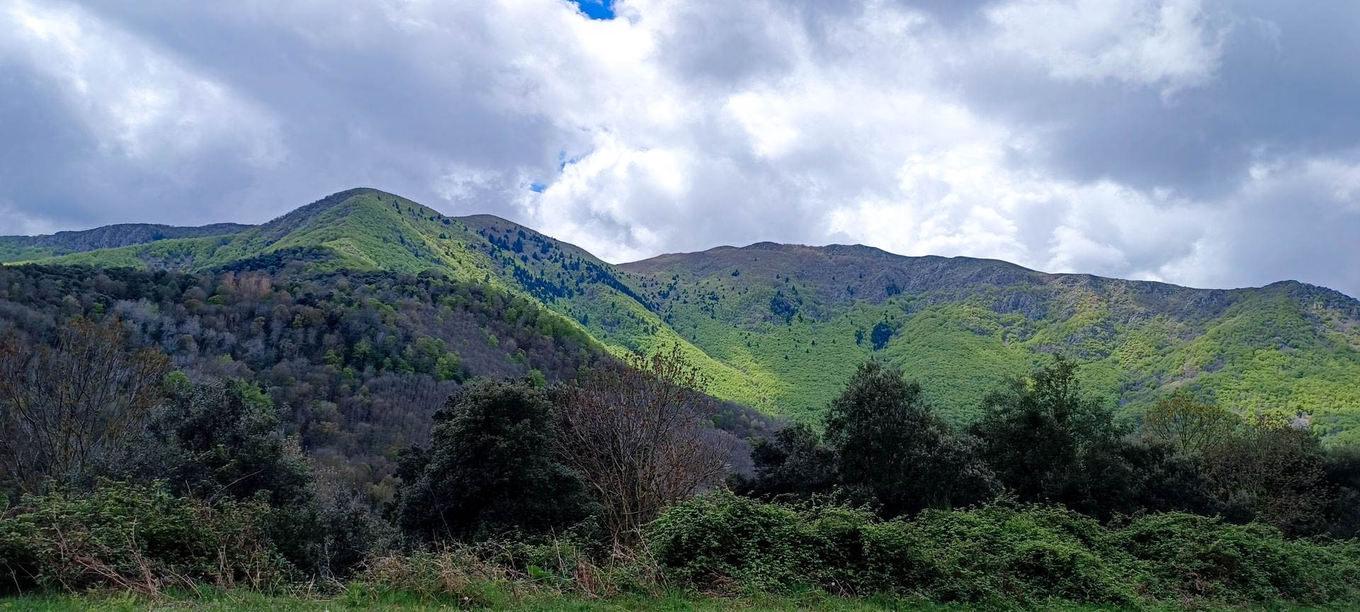 2025-04-27-fgb-coll-de-bordoriol-sot-de-canalis-murgoles