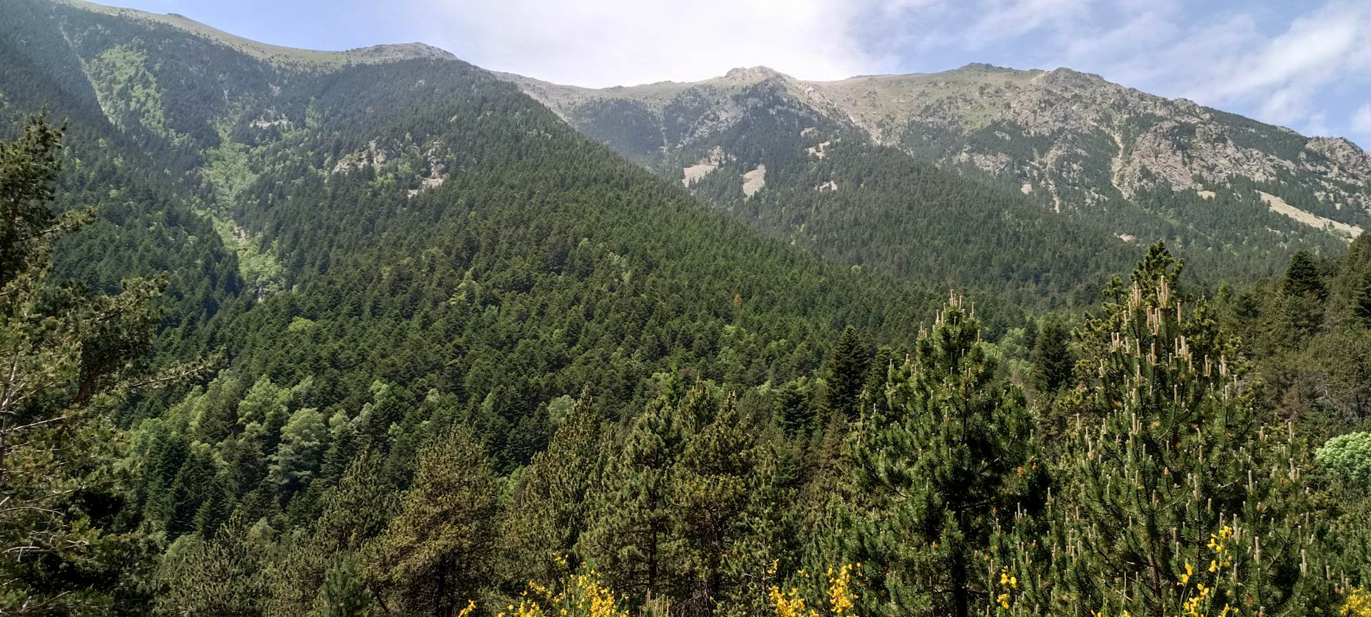 2025-06-15-fgb-setcases-pla-de-la-molina-1900