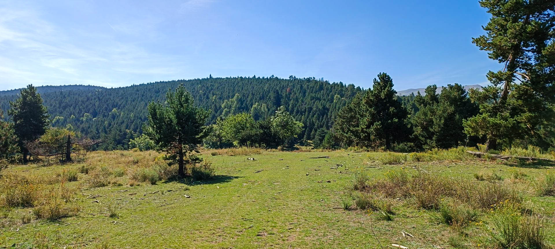 2025-09-20-fgb-la-molina-queixans-ceps