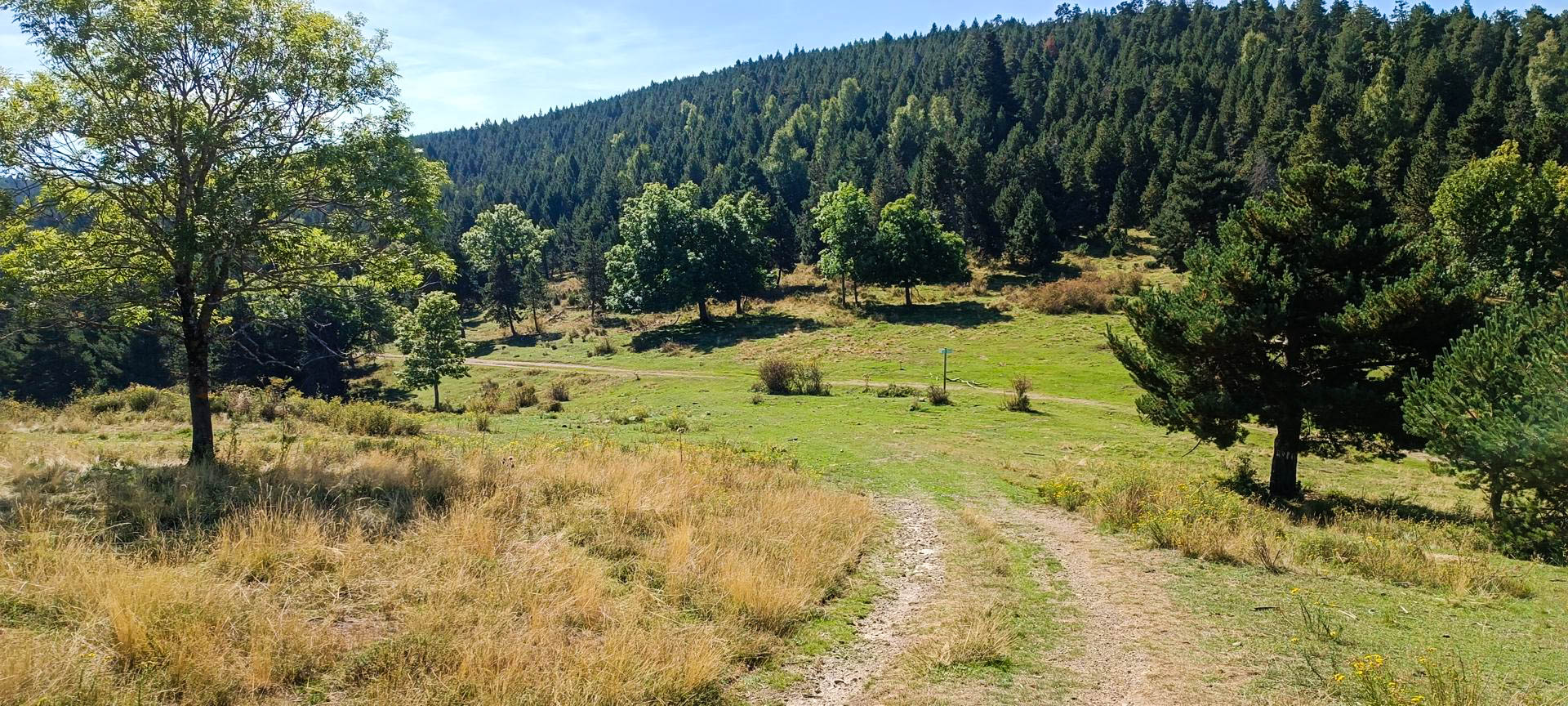 2025-09-20-fgb-la-molina-queixans-ceps