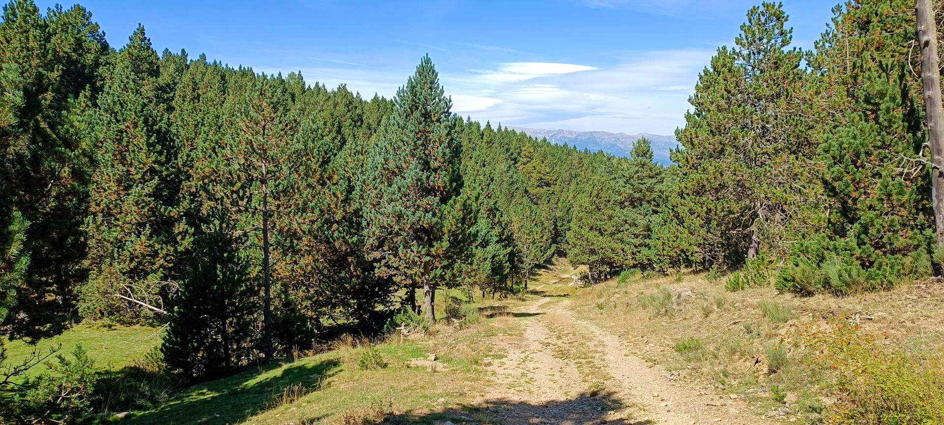 2025-09-20-fgb-la-molina-queixans-ceps
