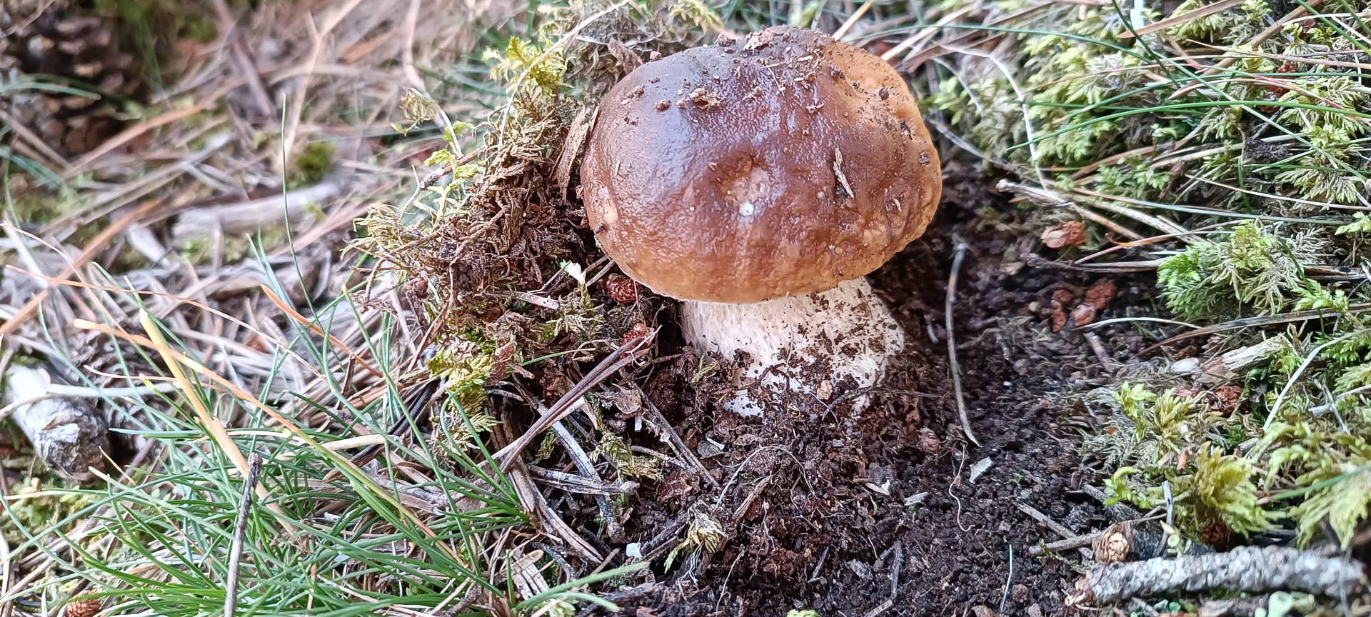 2025-09-20-fgb-la-molina-queixans-ceps