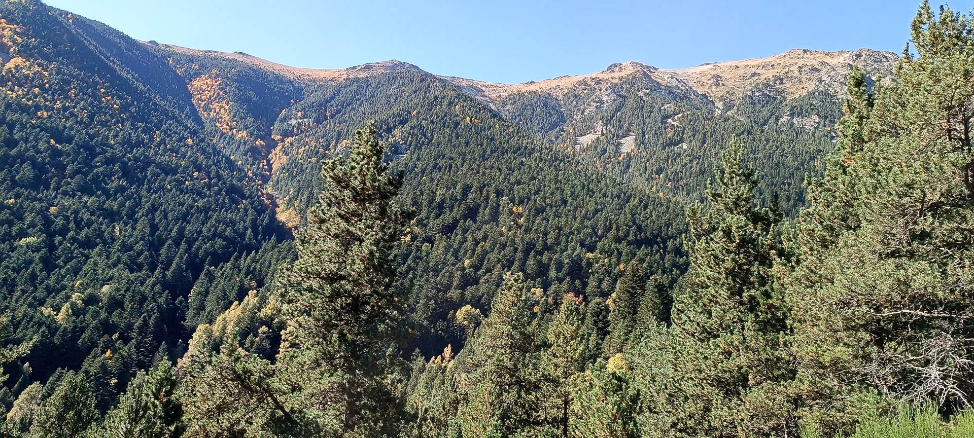 2025-10-11-fgb-setcases-pla-de-la-molina-1854