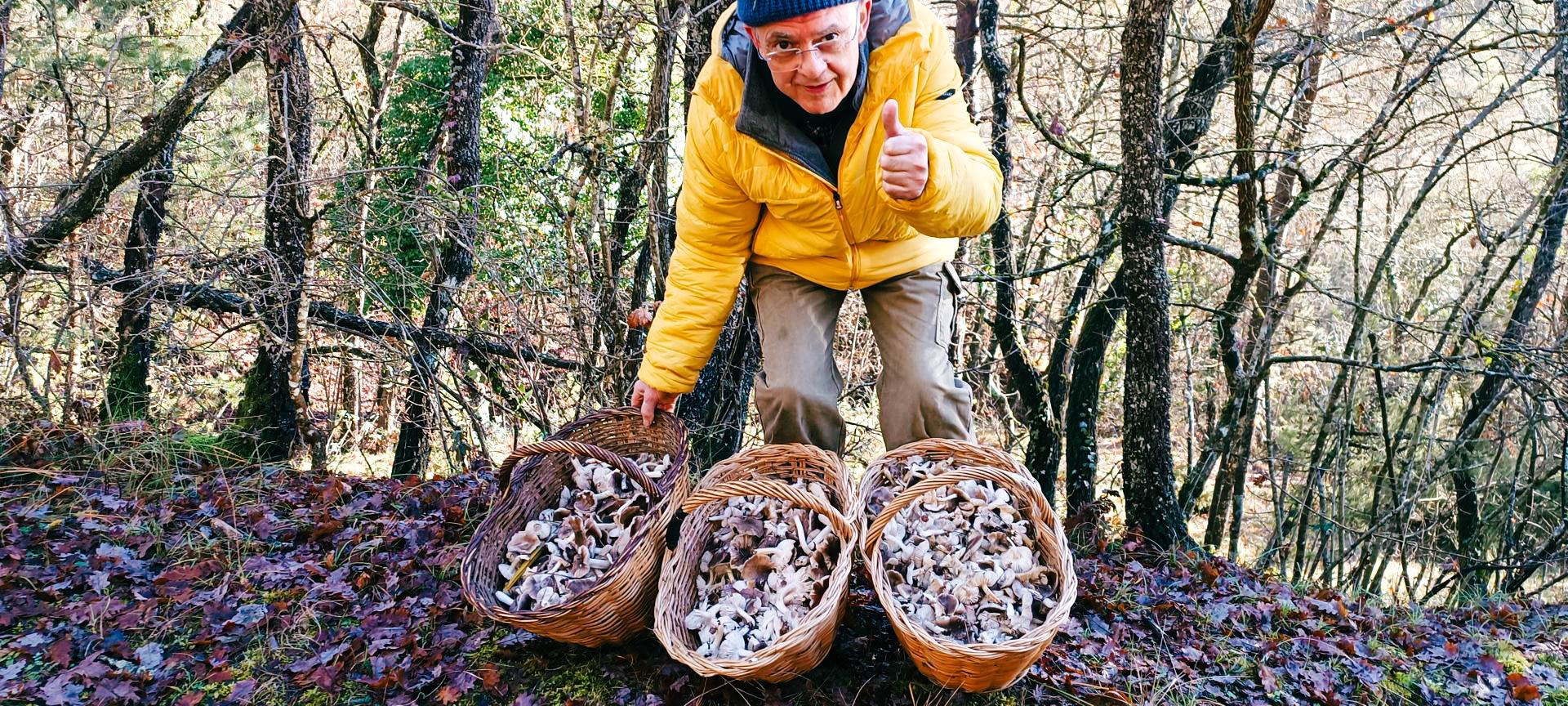 2025-12-28-josep-fgb-collsuspina