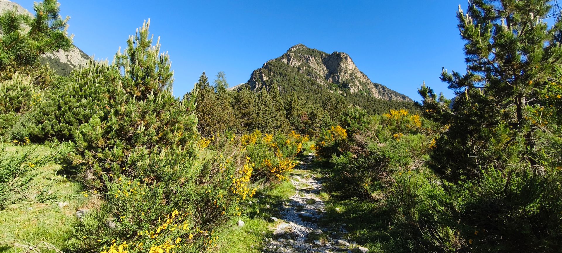 2026-06-13-fgb-setcases-pla-de-la-molina-1860