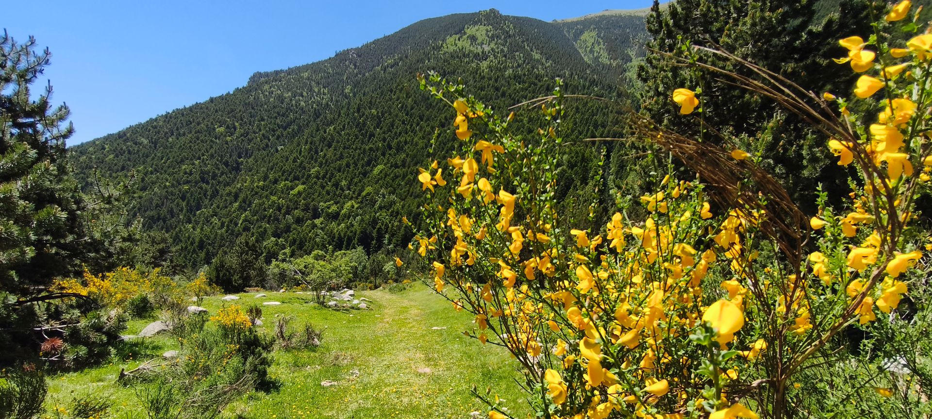 2026-06-13-fgb-setcases-pla-de-la-molina-1860