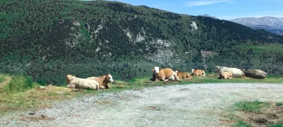 2017-07-16-fgb-Espinavell-2