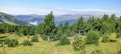 2017-08-07-Espinavell-2