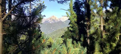 2017-08-13-fgb-Setcases-Sant-Miquel