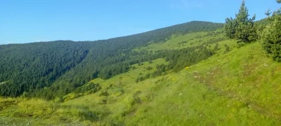 2018-07-08-fgb-Espinavell-2