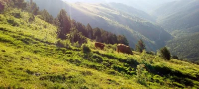 2018-07-29-fgb-Espinavell-2