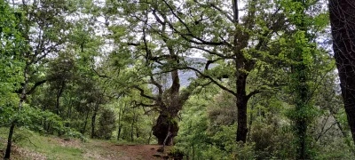 2019-05-26-fgb-cgat