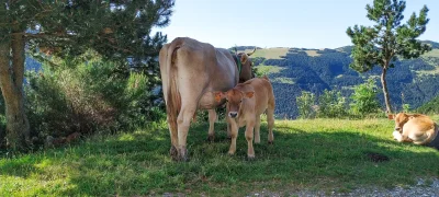2019-07-28-Espinavell-Sant-Miquel-3