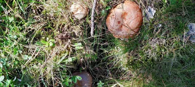 2019-08-25-Espinavell-Sant-Miquel