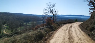 2020-01-05-collsuspina
