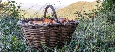 2020-10-12-Collada-Santigosa-3
