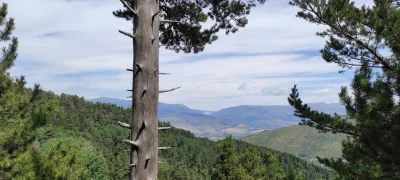 2021-07-25-fgb-la-molina-400