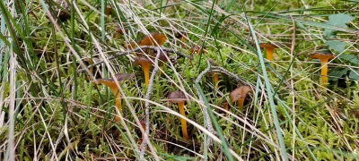 2021-10-10-Collada-Santigosa-2