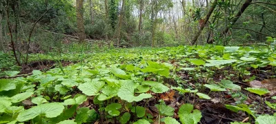 2023-04-30-fgb-coll-de-bordoriol-sot-de-canalis