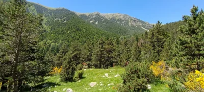 2024-06-23-fgb-setcases-pla-de-la-molina-1900-9-3