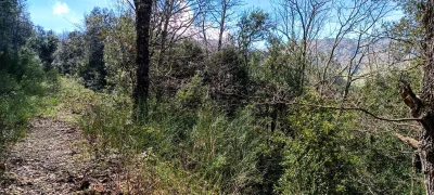 2025-04-18-fgb-coll-de-bordoriol-sot-de-canalis-murgoles-1