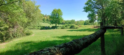 2025-05-25-fgb-viladrau-can-gat-4