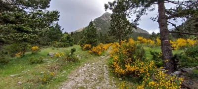 2025-06-15-fgb-setcases-pla-de-la-molina-1900-9