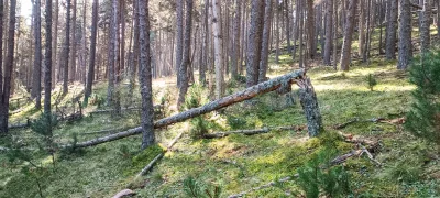 2025-09-20-fgb-la-molina-queixans-ceps-10