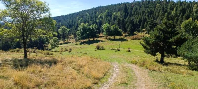 2025-09-20-fgb-la-molina-queixans-ceps-13