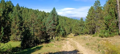 2025-09-20-fgb-la-molina-queixans-ceps-14