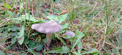 2025-10-25-fgb-sora-5
