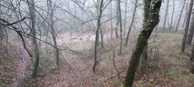 2026-01-04-fgb-collsuspina-3