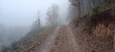 2026-01-04-fgb-collsuspina-4