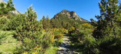 2026-06-13-fgb-setcases-pla-de-la-molina-1860-1
