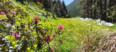 2026-06-13-fgb-setcases-pla-de-la-molina-1860-2